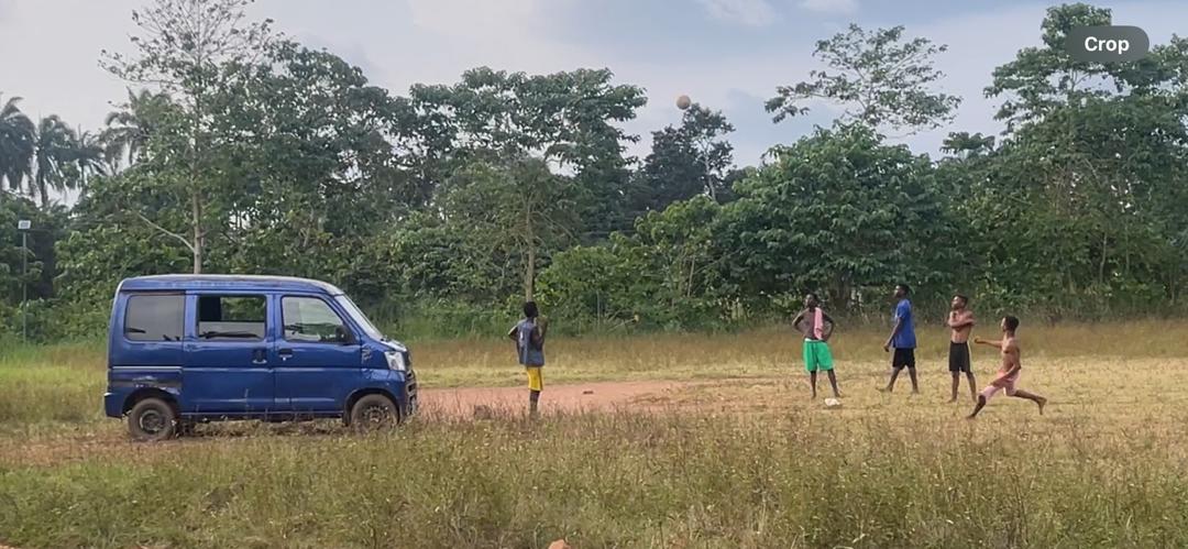 Cultural festival celebration